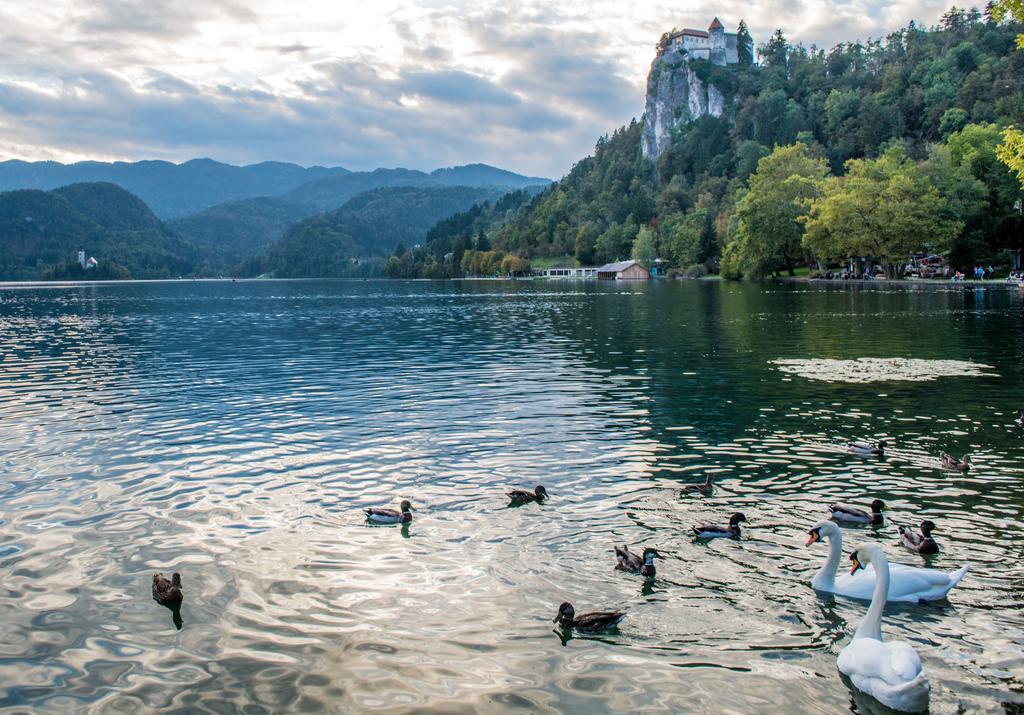 Maline Apartments Bled Exterior foto